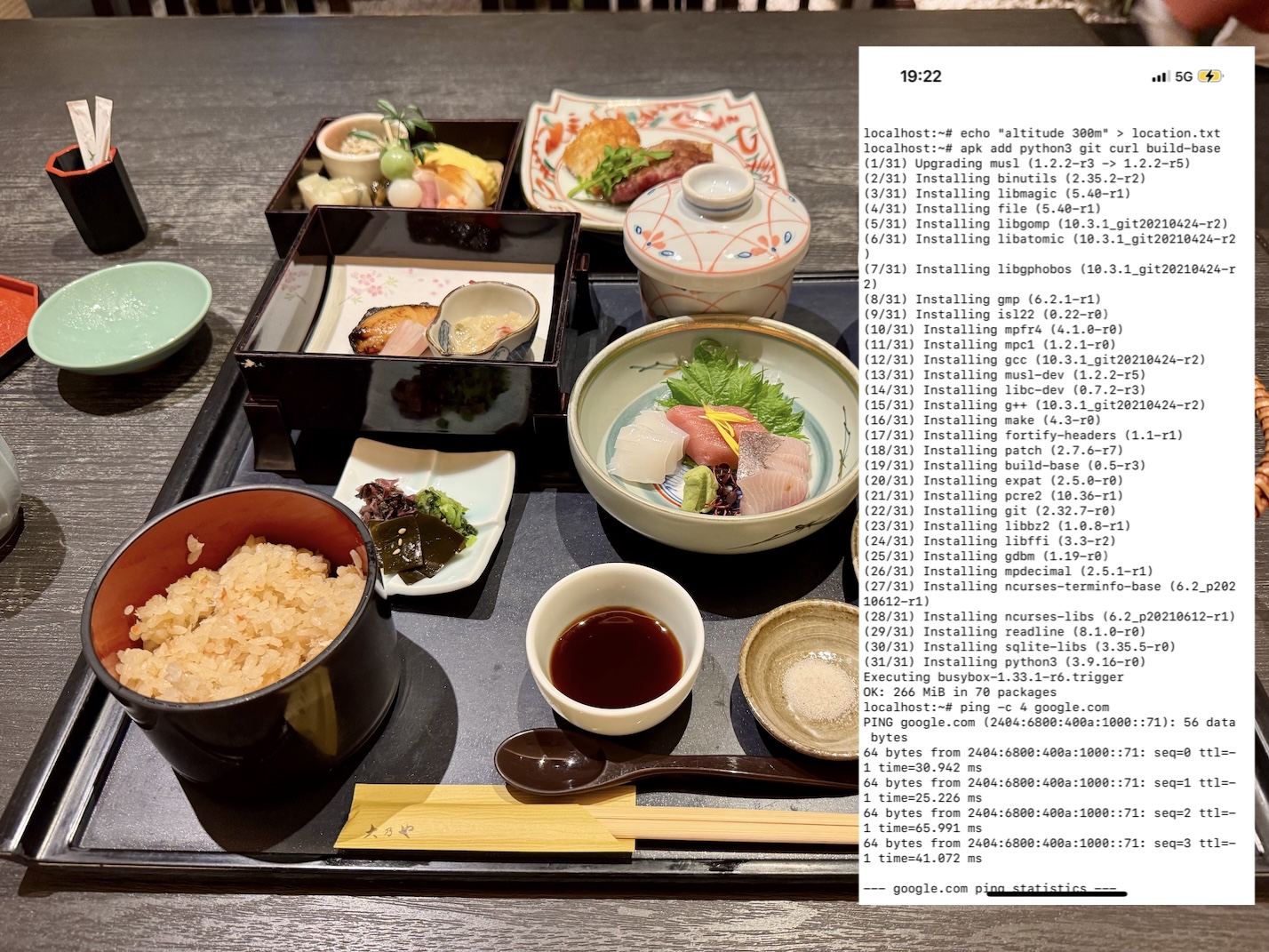 iSH terminal on iPhone with Harukas view
