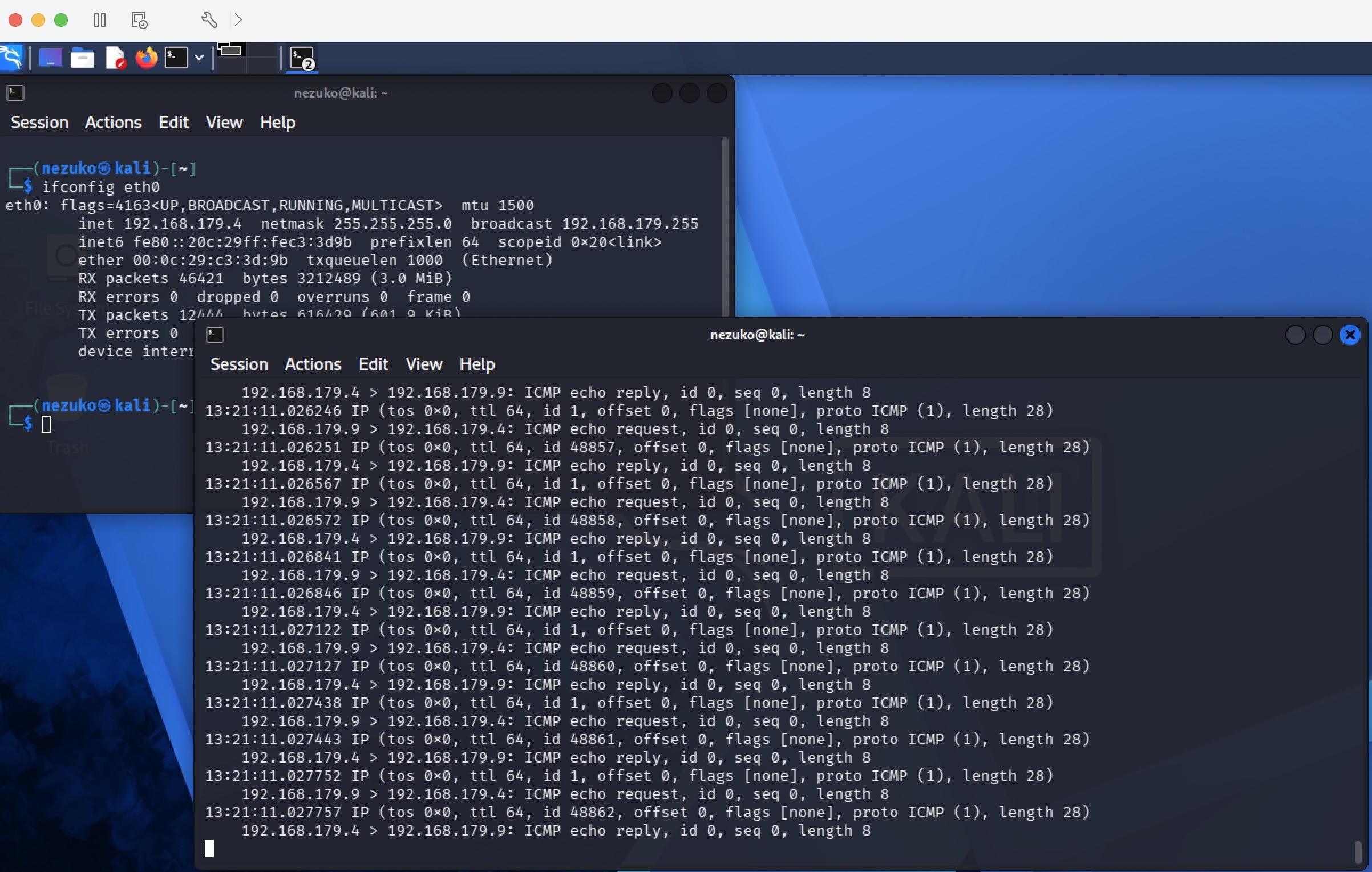 ICMP traffic capture on Kali Linux