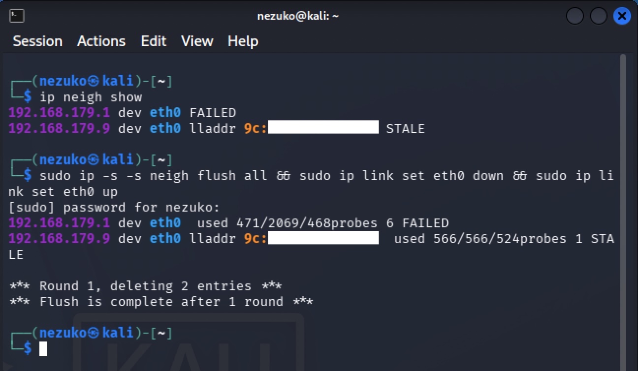 ARP table failure on Kali Linux