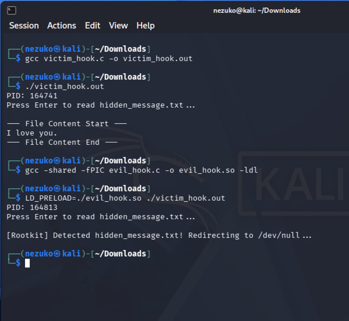 API hooking execution on Kali Linux showing file access redirection to /dev/null