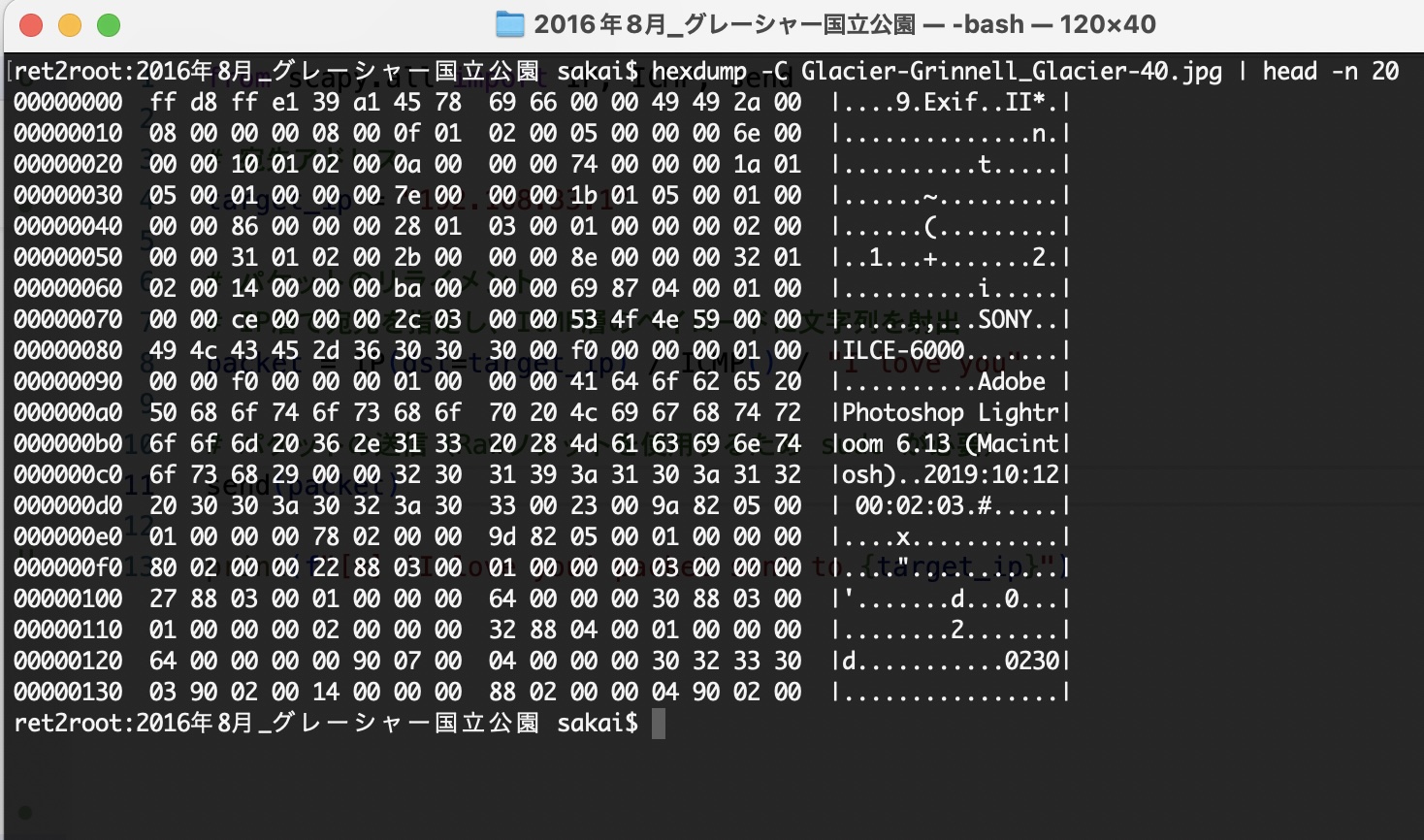 Terminal showing hexdump of a JPEG file from Glacier National Park showing Exif data and SONY ILCE-6000 string